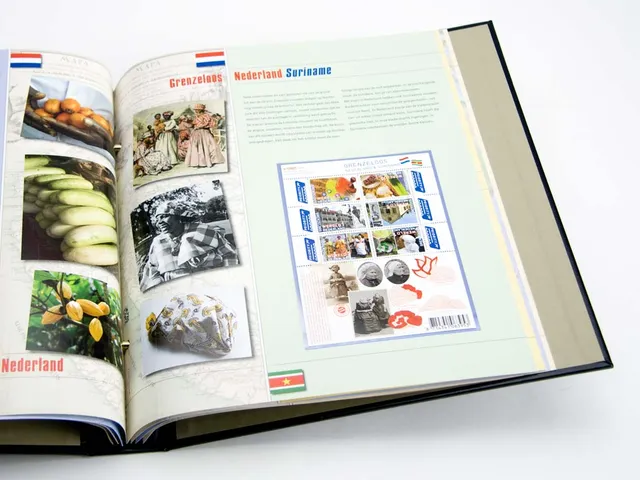 davo-luxe-illustr-grenzeloos-2010-feuilles-album-timbres image 1