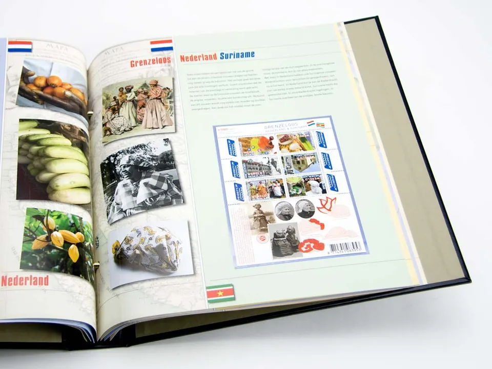 davo-luxe-illustr-grenzeloos-2010-feuilles-album-timbres image 1