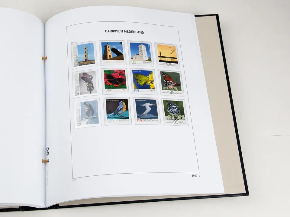 davo-luxe-cara-bes-n-erlandaises-2018-pages-album-170g image 1