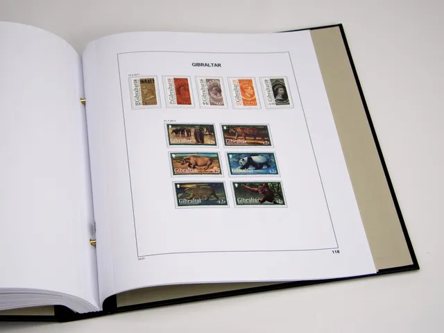 davo-luxe-gibraltar-2021-pages-album-timbres-170-g image 1