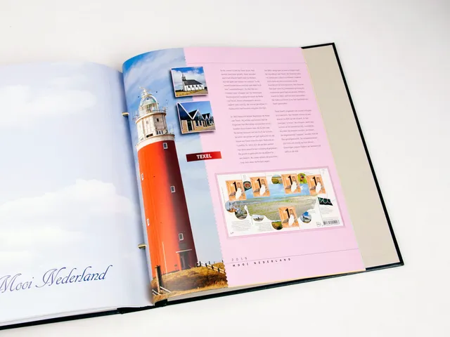 davo-luxe-mooi-nederland-2019-feuillets-album-timbres image 1