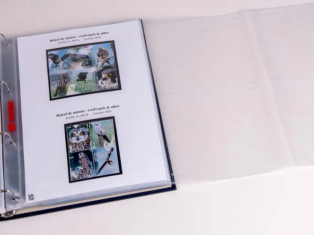 davo-pzm-1er-semestre-2021-pages-album-timbres image 1