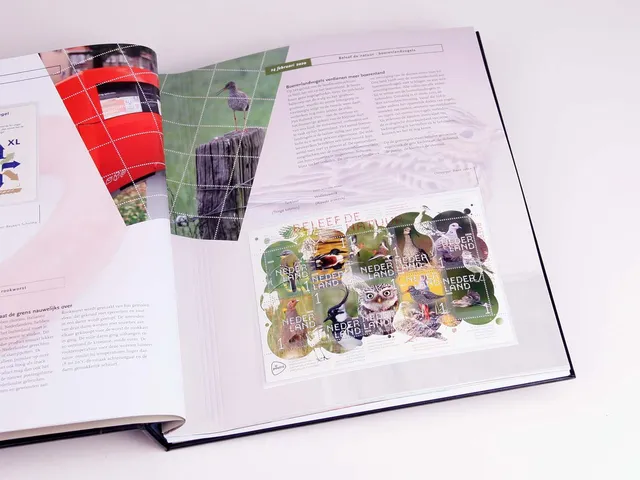 davo-luxe-suppl-ment-pays-bas-illustr-2020-pages-timbres image 1