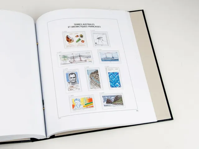 davo-luxe-taaf-2016-pages-album-timbres-170g image 1