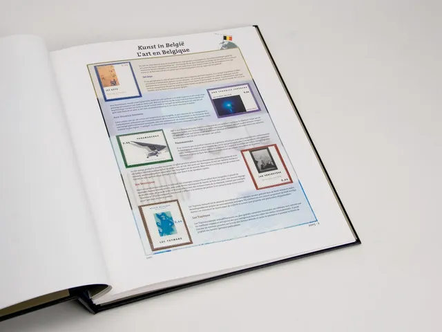 davo-luxe-this-is-belgium-2005-pages-album-timbres-couleur image 1