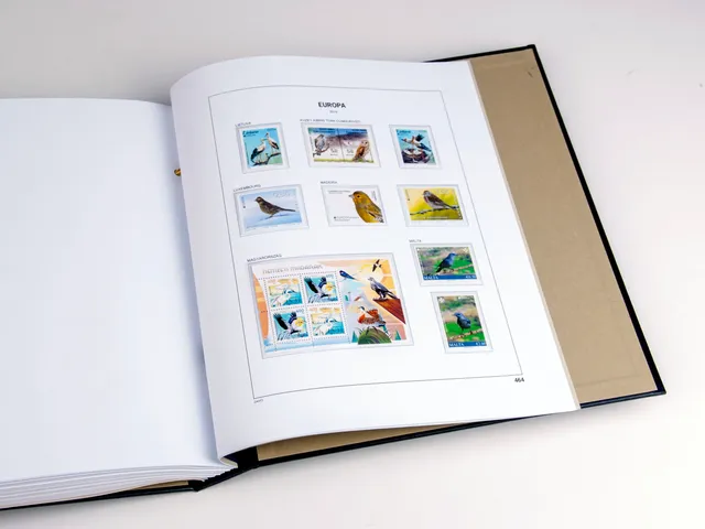 davo-luxe-europa-cept-2019-pages-suppl-ment-album-timbres image 1
