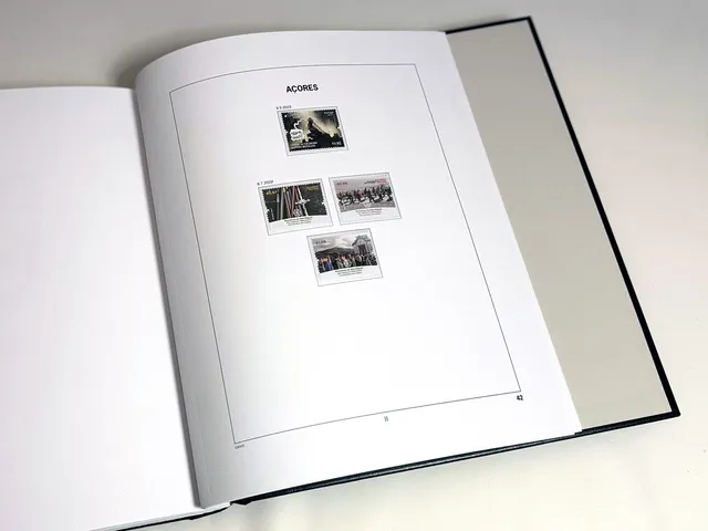 davo-luxe-a-ores-mad-re-2022-pages-album-timbres-170-g image 1