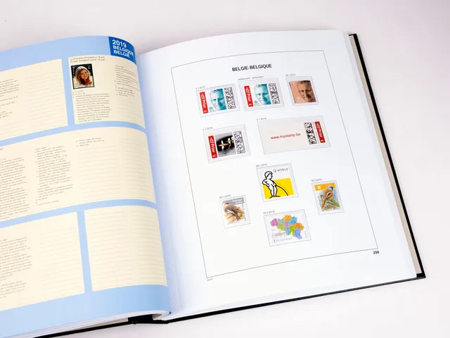 davo-luxe-belgique-2019-pages-album-timbres-170-g image 1