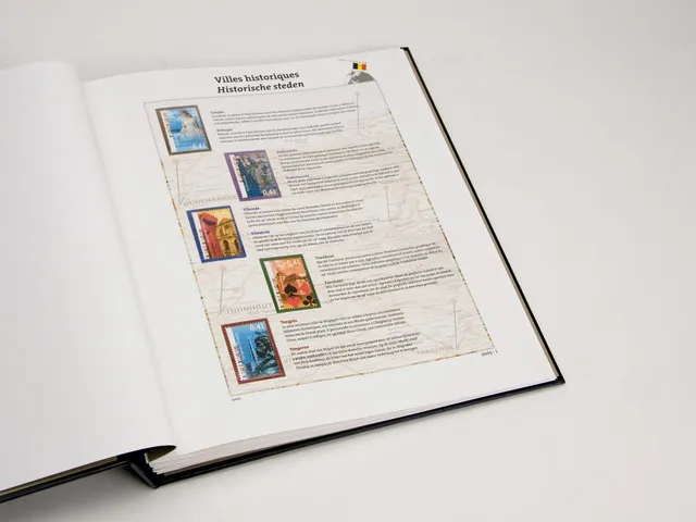 davo-luxe-this-is-belgium-2003-pages-d-album-belgique-papier-200g image 1