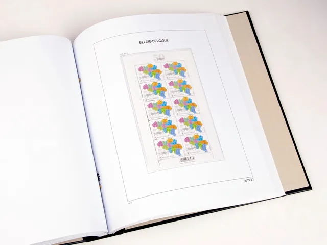 davo-luxe-belgique-feuillets-2019-pages-album-timbres-170g image 1