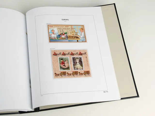 davo-luxe-europa-blocs-2025-pages-album-timbres-170g image 1