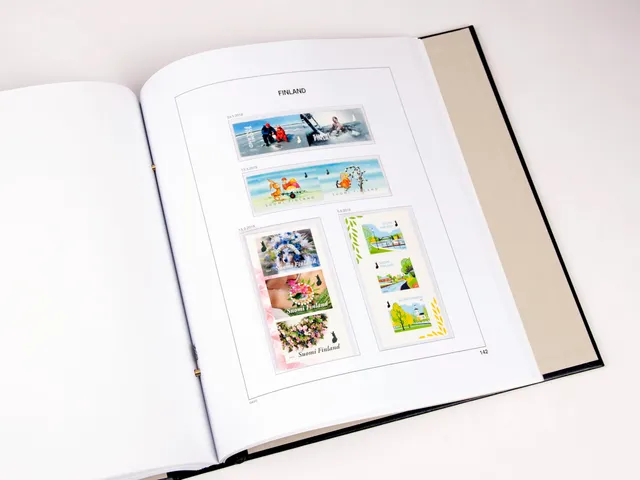davo-luxe-finlande-2019-pages-album-timbres-170g image 1