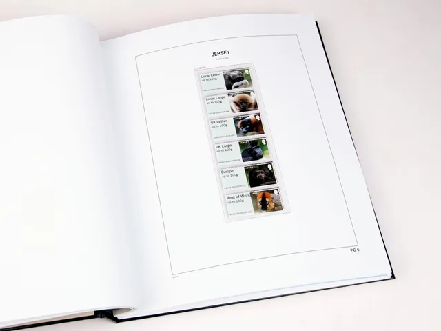 davo-luxe-jersey-post-go-2019-pages-album-timbres image 1