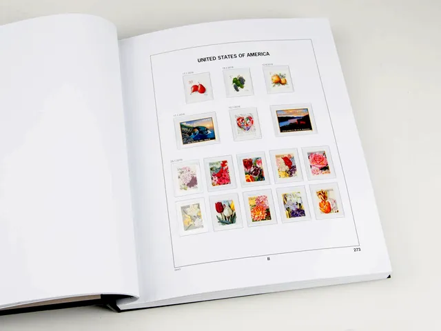 davo-luxe-usa-2016-feuilles-album-timbres-170-g image 1