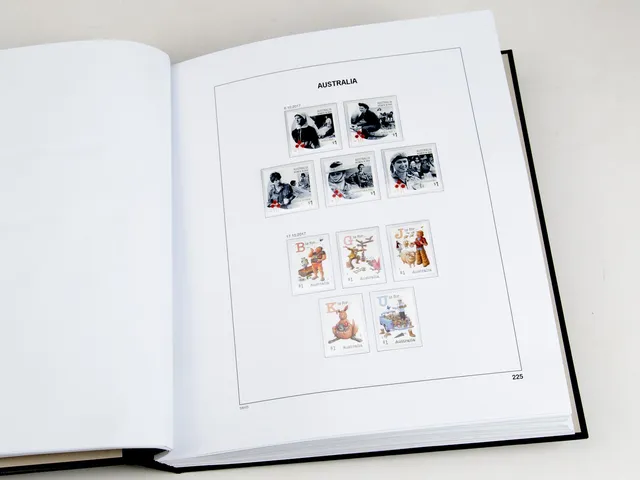 davo-luxe-australie-2017-pages-album-timbres-170g image 1