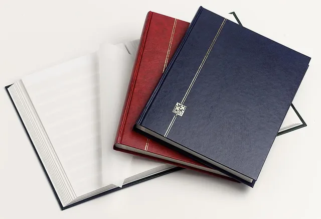 davo-stockbooks-f-carnet-de-timbres-32-pages-blanches image 1