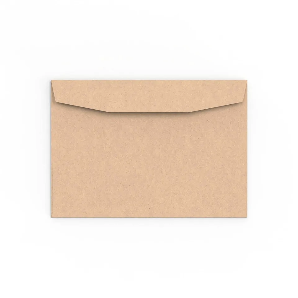 enveloppes-france-enveloppes-papier-manille-c6-114x162-mm image 1