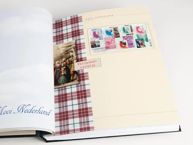 davo-luxe-mooi-nederland-2014-pages-album-timbres-facultatif image 1