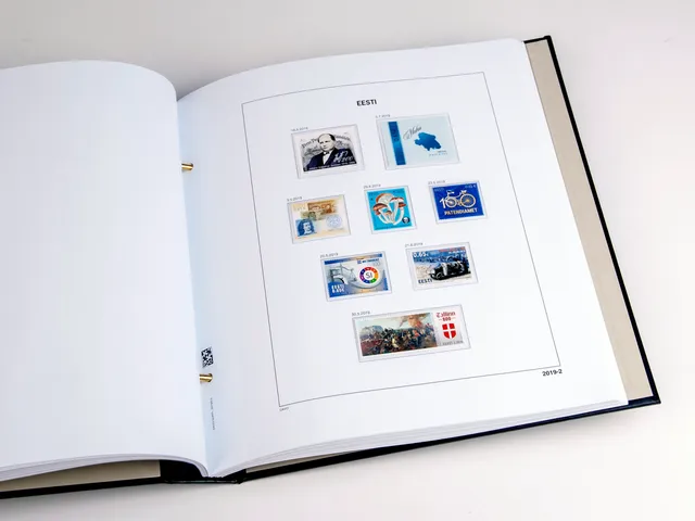 davo-luxe-etats-baltes-2019-pages-album-timbres-papier-170g image 1
