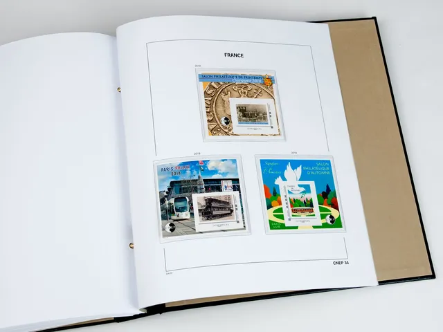 davo-luxe-france-cnep-2018-pages-suppl-ment-album-timbres image 1