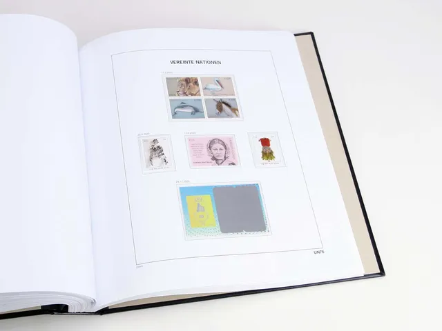 davo-luxe-autriche-onu-2020-pages-suppl-ment-album-timbres-170g image 1