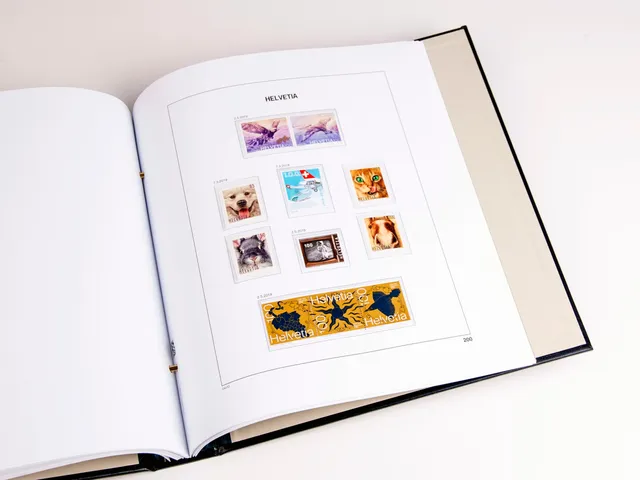 davo-luxe-suisse-2019-pages-album-timbres-170-g image 1