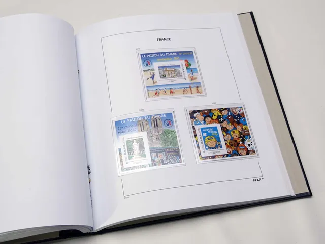 davo-luxe-france-ffap-2020-pages-album-timbres-170g image 1