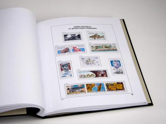 davo-luxe-taaf-2021-pages-timbres-170-g image 1