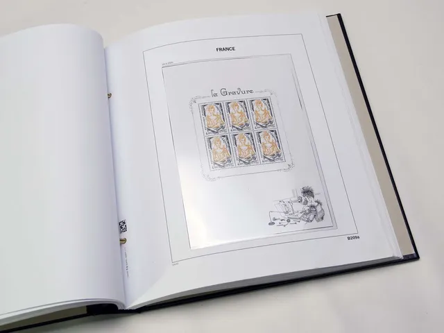 davo-luxe-france-la-gravure-2020-feuille-album-timbres image 1