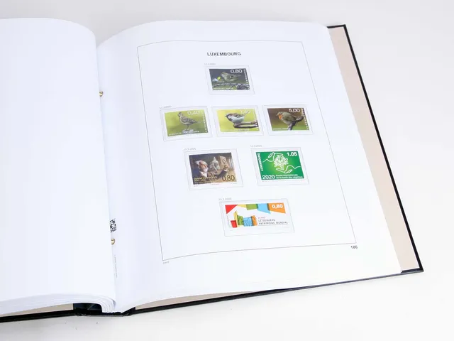 davo-luxe-pages-suppl-ment-luxembourg-2020-album-timbres image 1
