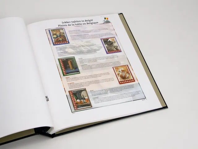 davo-luxe-this-is-belgium-2006-feuillets-album-timbres-belgique image 1