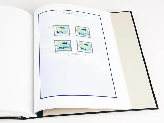 davo-luxe-land-frama-2003-pages-album-timbres image 1
