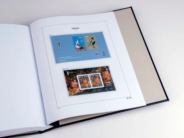 davo-luxe-europa-blocs-2019-suppl-ment-album-timbres-170g image 1