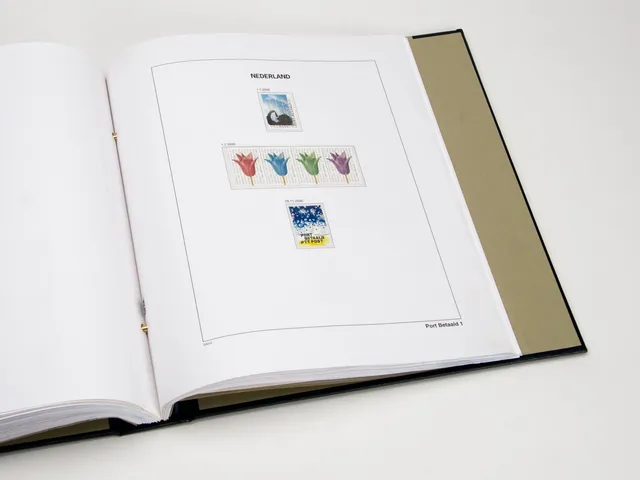 davo-luxe-pays-bas-port-pay-2000-1-page-album-timbres image 1