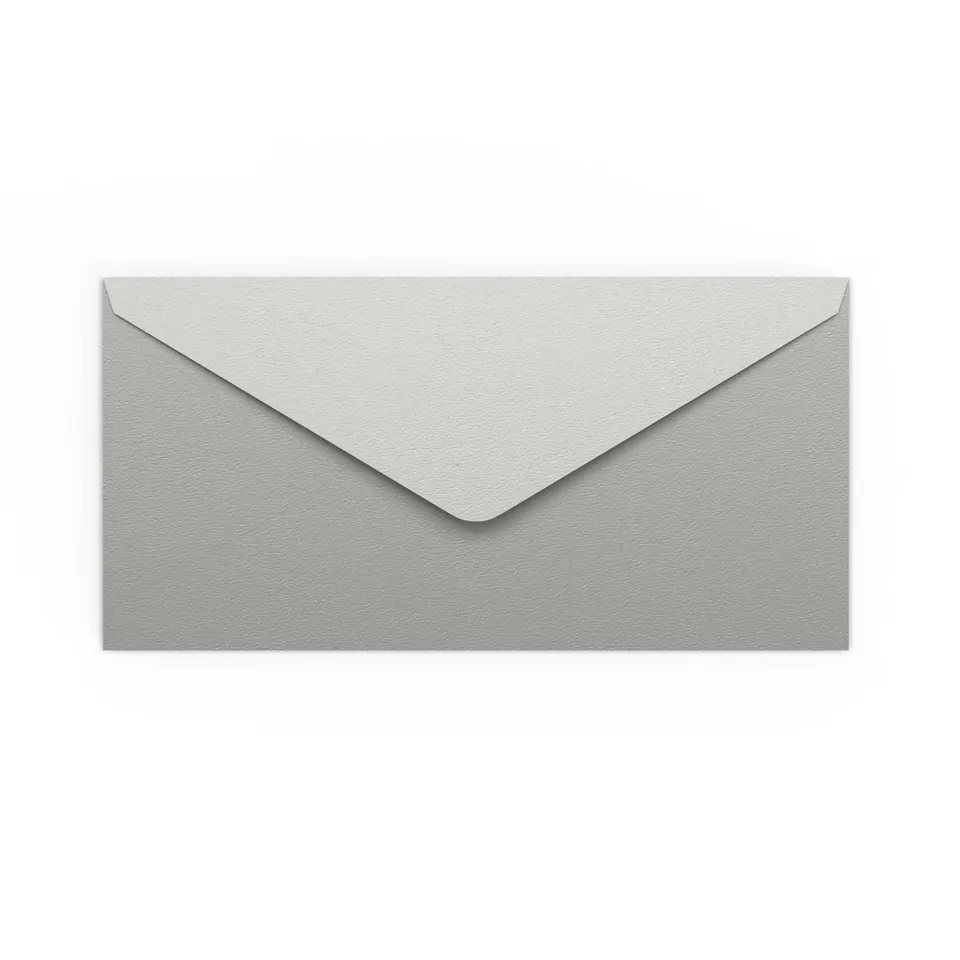 enveloppes-france-enveloppes-color-es-enveloppe-argent-e-dl-110x220-mm image 1