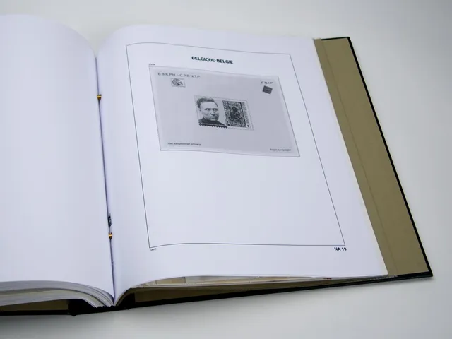 davo-luxe-belgique-na19-2009-pages-album-non-adopt-s image 1