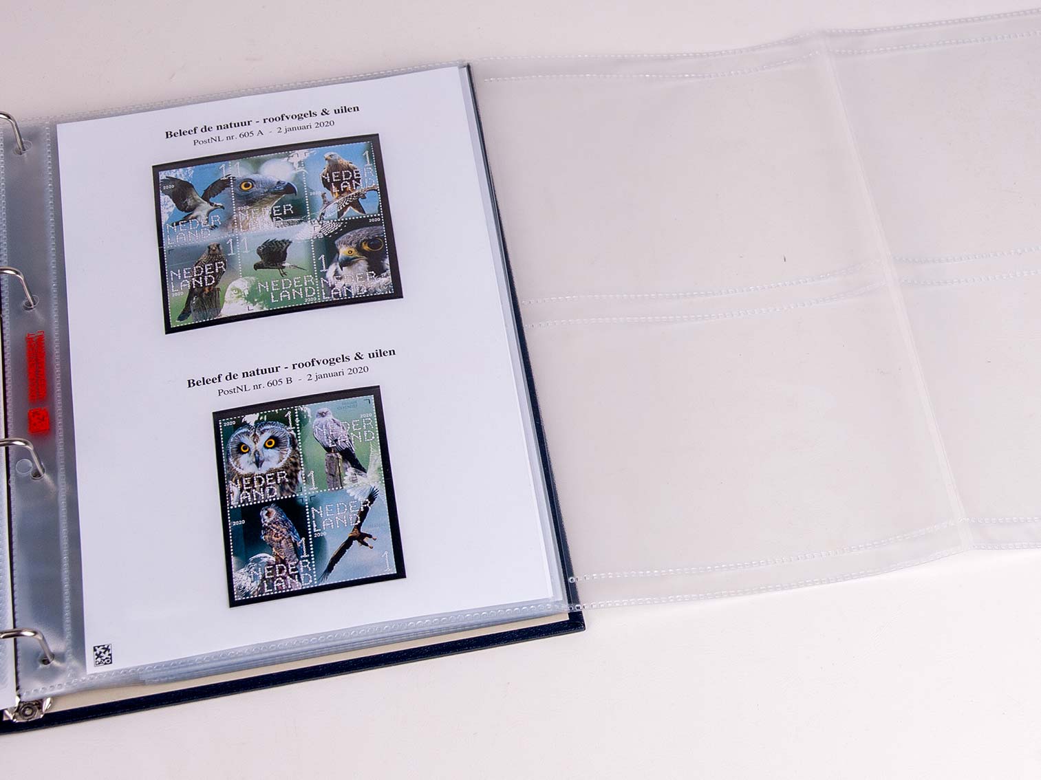 davo-pzm-1er-semestre-2021-pages-album-timbres image 1