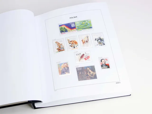 davo-luxe-pologne-2020-pages-album-timbres-papier-170-g image 1