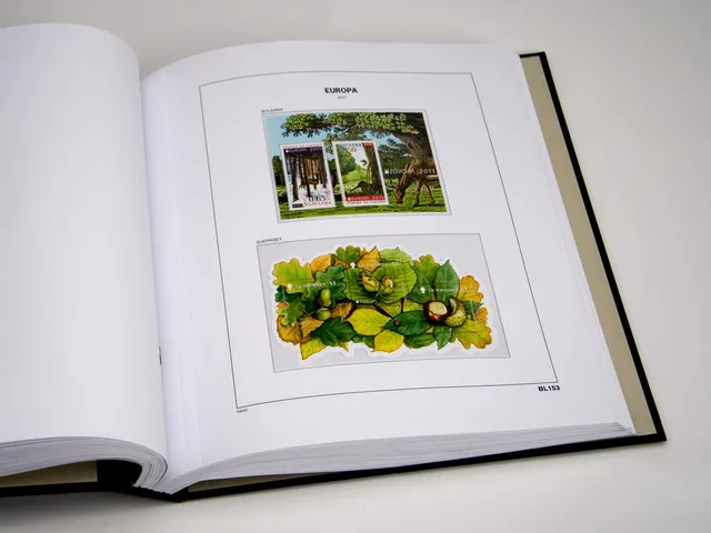 davo-luxe-europa-blocs-2021-suppl-ment-album-timbres-170g image 1