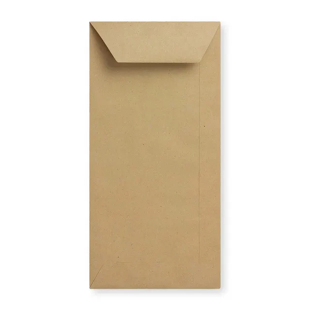 enveloppes-france-enveloppes-en-papier-manille-220x110-mm-dl image 1