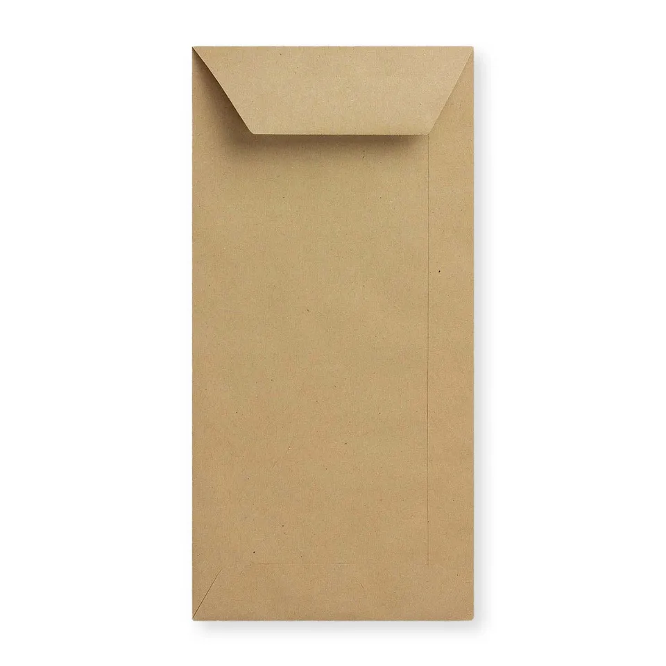 enveloppes-france-enveloppes-en-papier-manille-220x110-mm-dl image 1