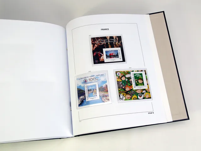 davo-luxe-france-ffap-2022-feuilles-album-timbres-170g image 1