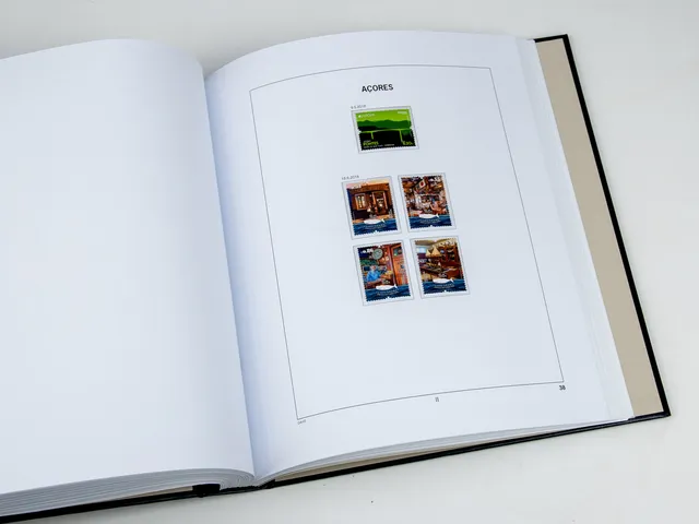 davo-luxe-a-ores-mad-re-2018-pages-album-timbres-170g image 1