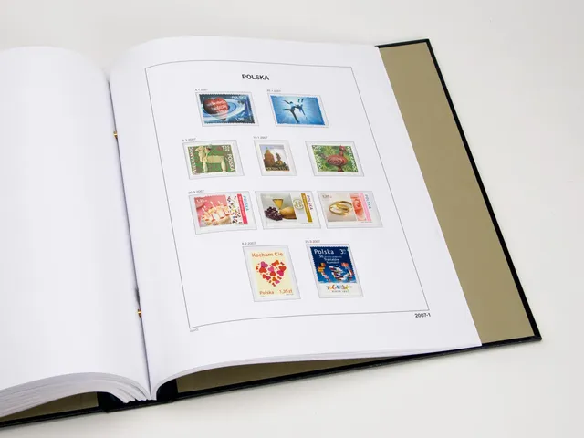 davo-luxe-pologne-2017-pages-album-timbres-papier-170-g image 1