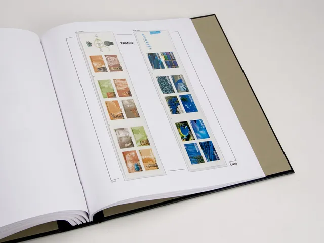davo-luxe-suppl-ment-album-timbres-france-carnets-2007 image 1