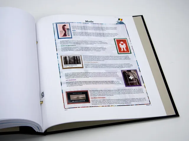 davo-luxe-this-is-belgium-2010-pages-album-timbres-200-g image 1