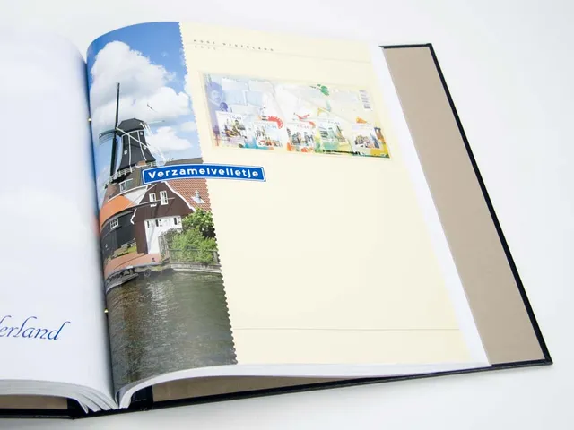 davo-luxe-mooi-nederland-2010-page-album-timbres-facultative image 1