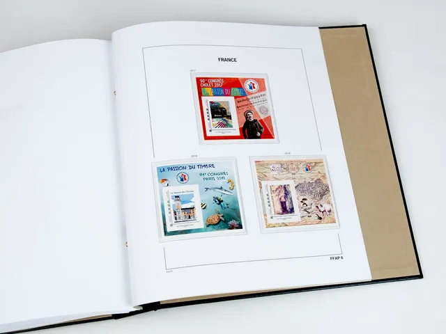 davo-luxe-suppl-ment-france-ffap-2018-pages-album-170-g image 1