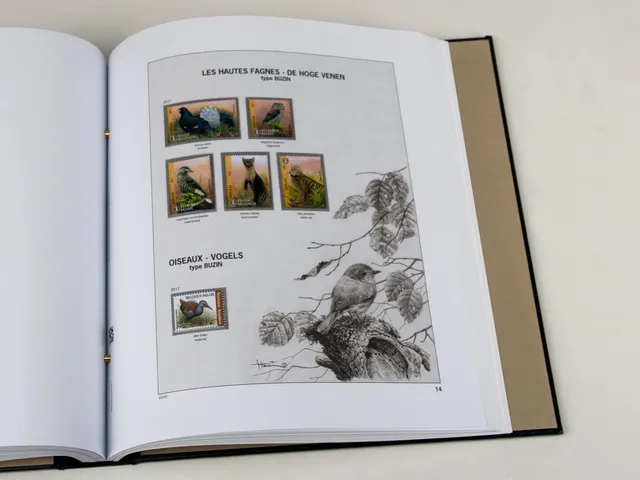 davo-luxe-suppl-ment-belgique-buzin-2017-pages-timbres-1-feuille image 1