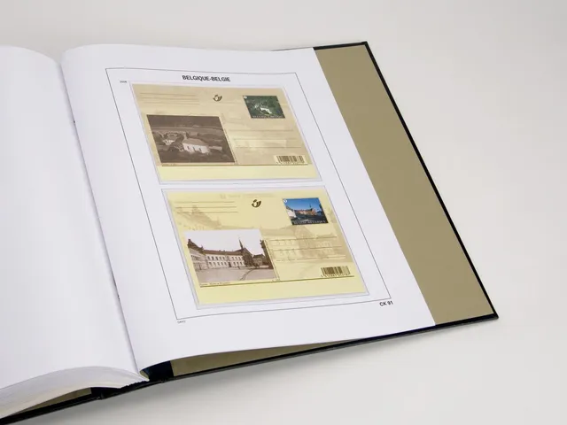 davo-luxe-belgique-cartes-postales-2008-feuilles-album-timbres image 1